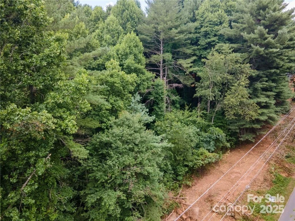 9999 Pisgah View Road - Photo 7