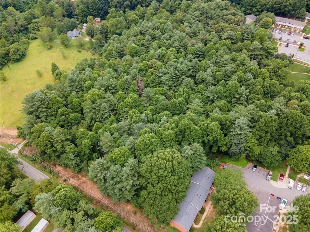 9999 Pisgah View Road - Photo 8