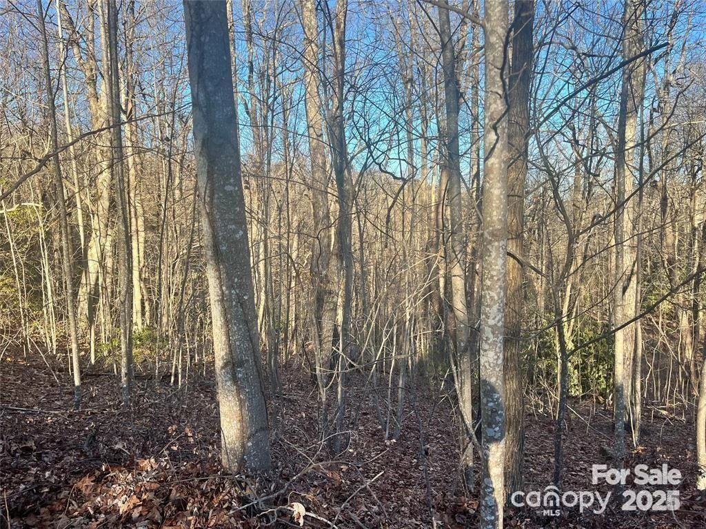 129 Pinnacle Peak Lane