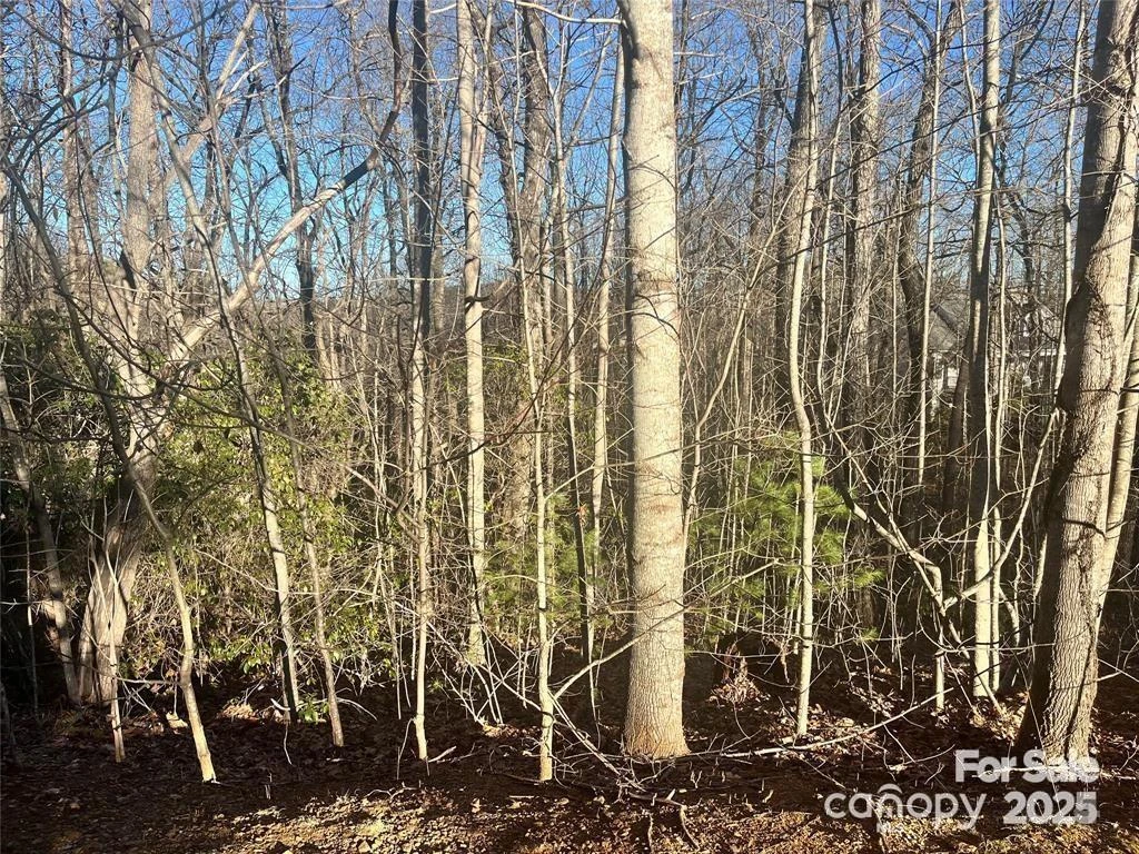 129 Pinnacle Peak Lane - Photo 3