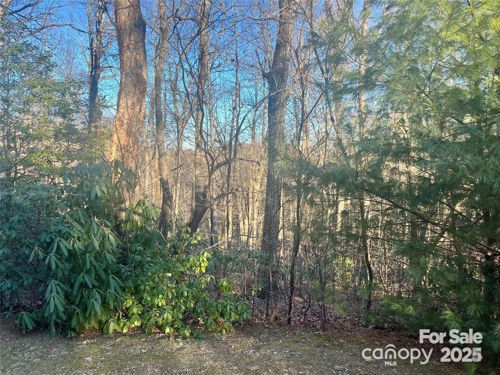 129 Pinnacle Peak Lane - Photo 4