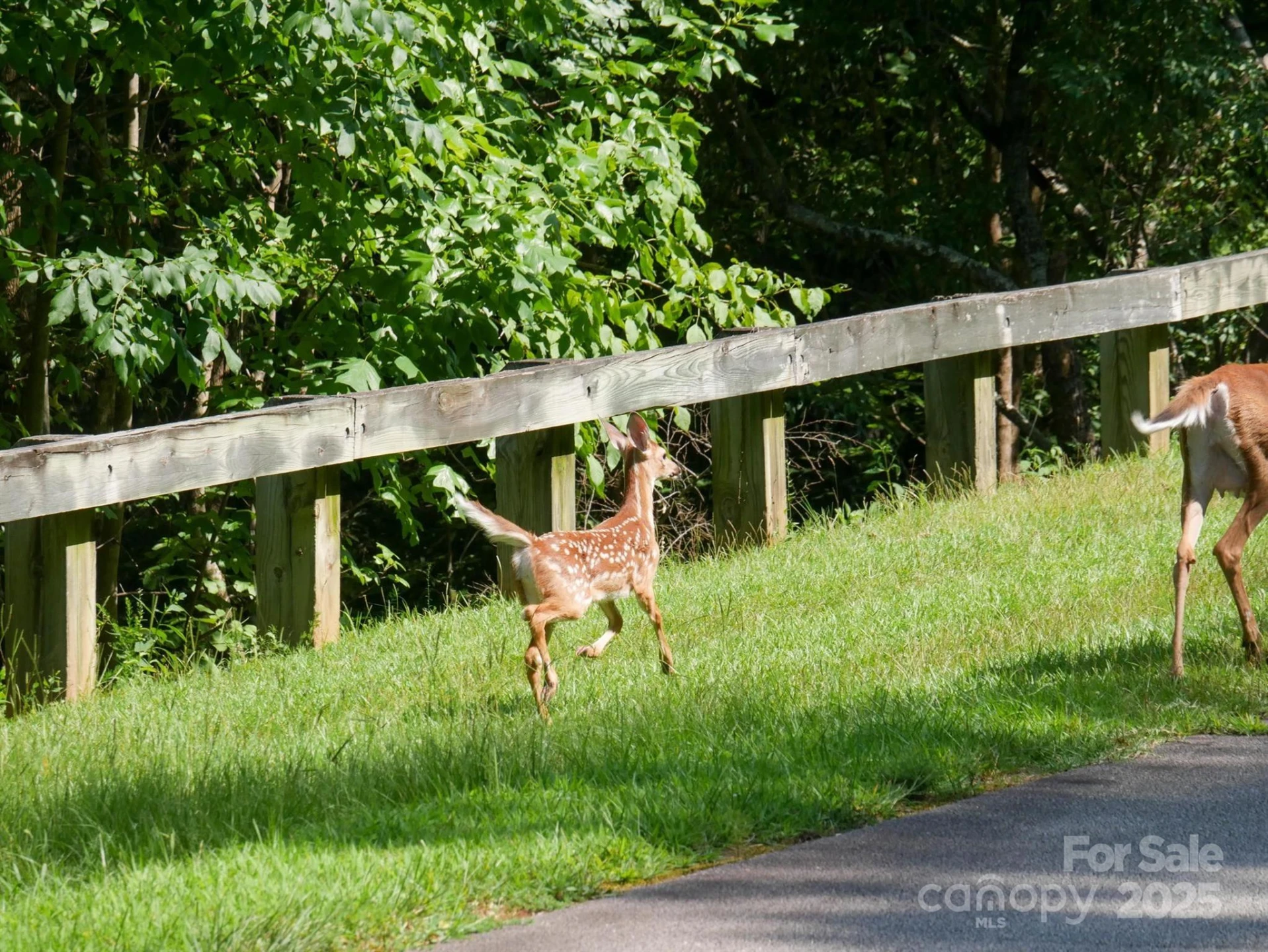 00 Deep Gap Road E #59 - Photo 25