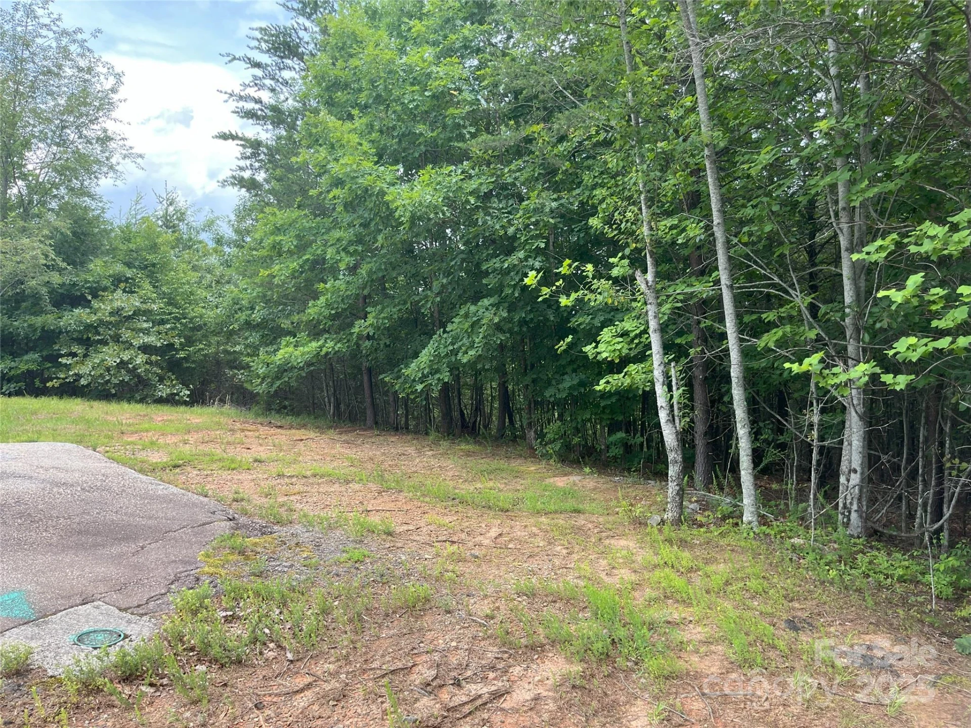 00 Deep Gap Road E #59 - Photo 4