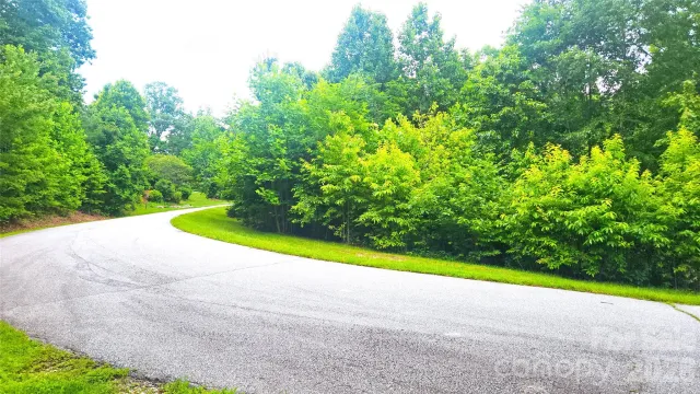 9999 Red Bud Lane, Laurel Park, NC, 28739