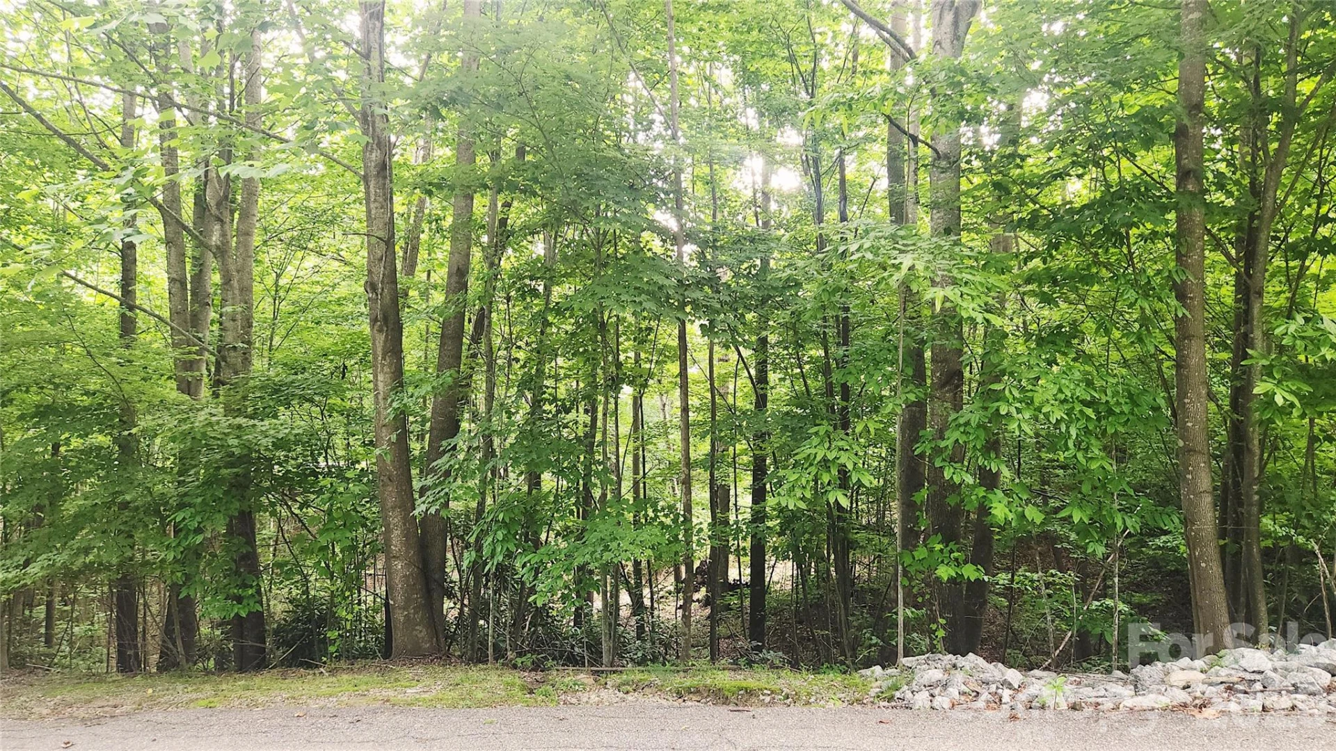 9999 Red Bud Lane #13 - Photo 2