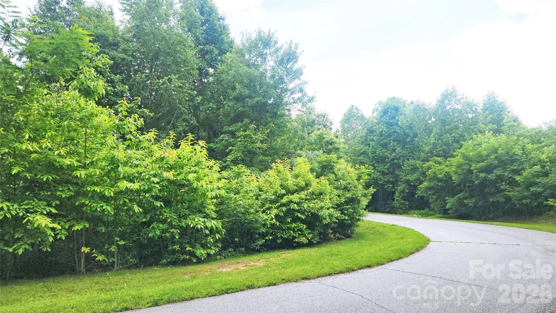 9999 Red Bud Lane #13 - Photo 3