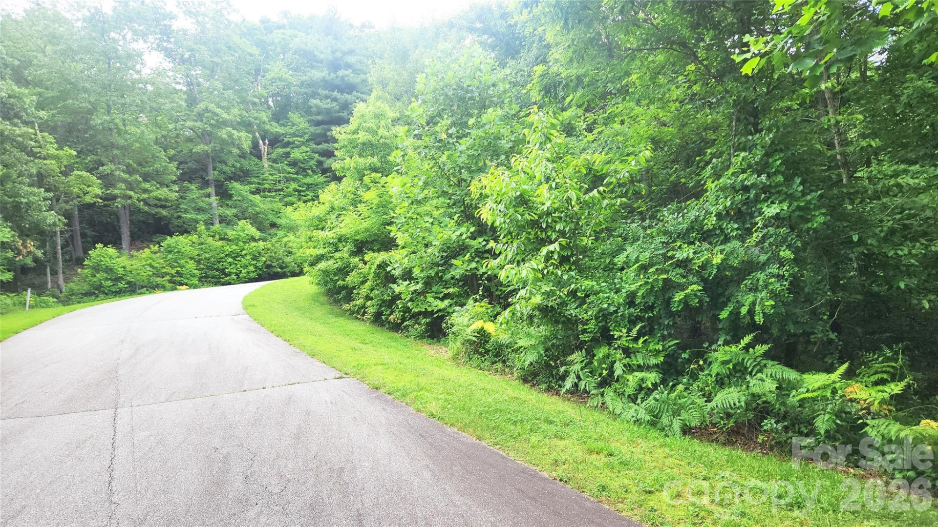 9999 Red Bud Lane #13 - Photo 4