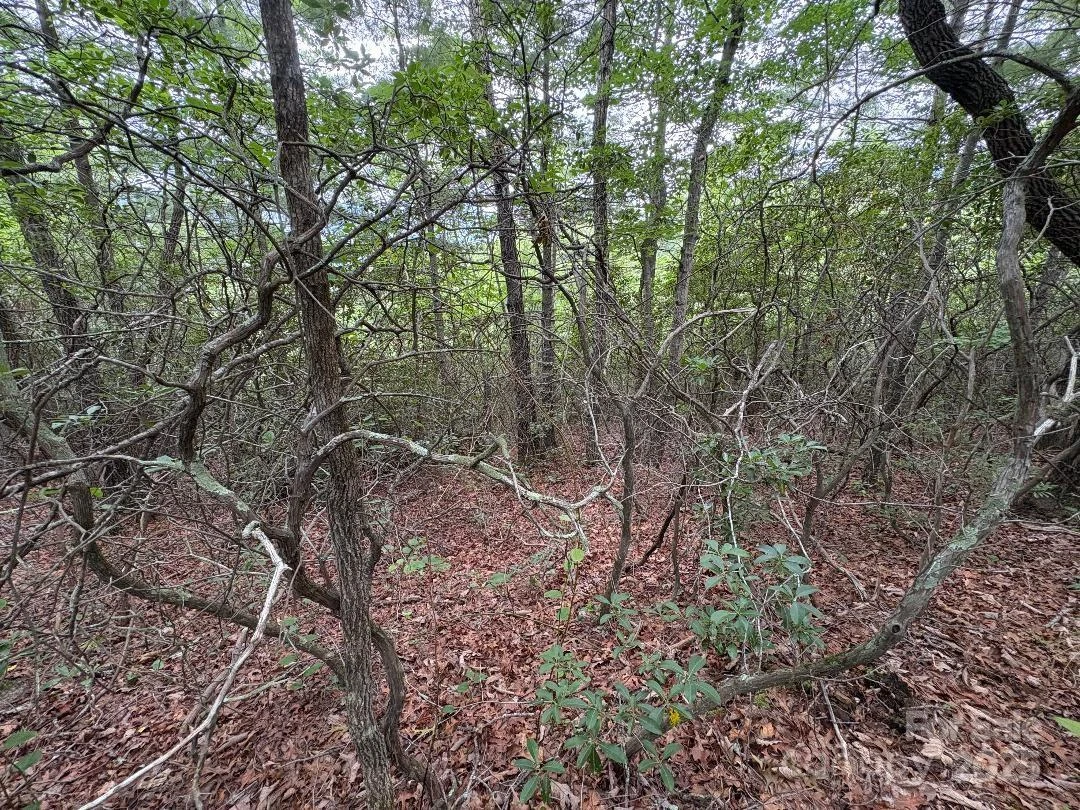 Lot 34 N Oakwood Drive - Photo 11