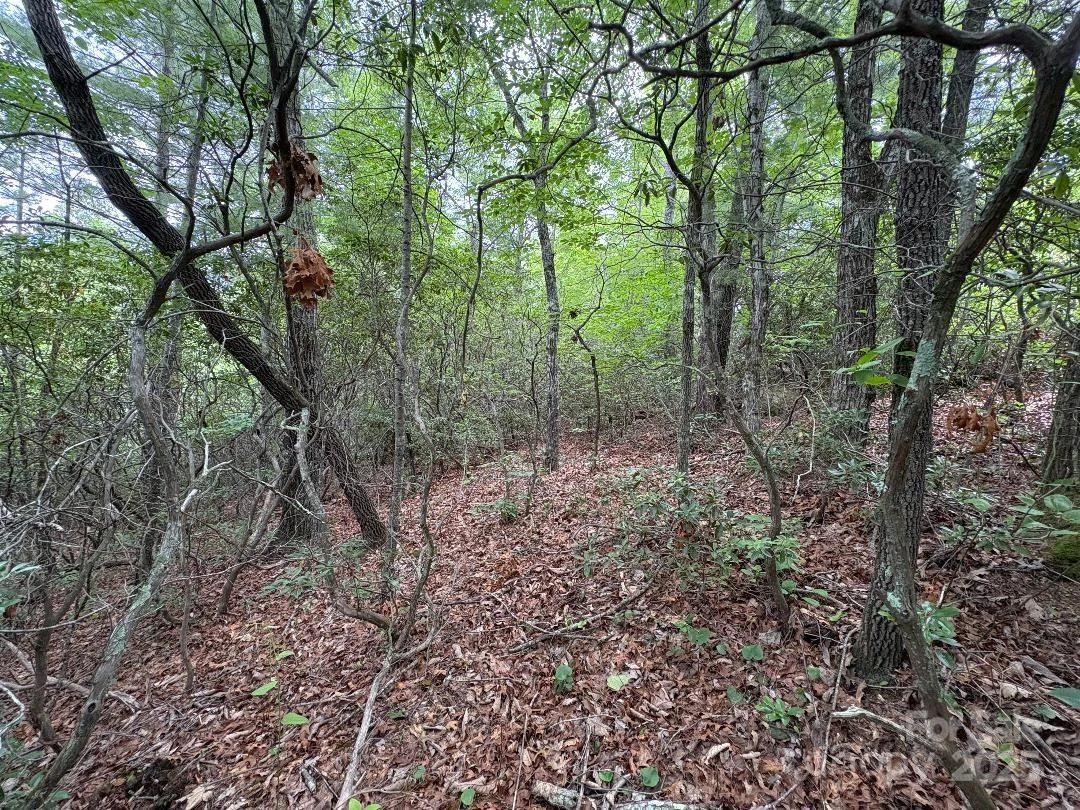 Lot 34 N Oakwood Drive - Photo 12