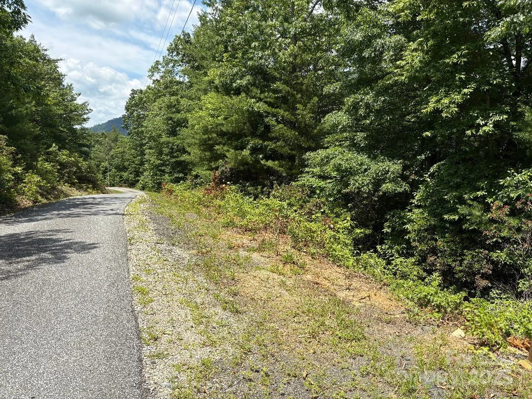 Lot 34 N Oakwood Drive - Photo 13