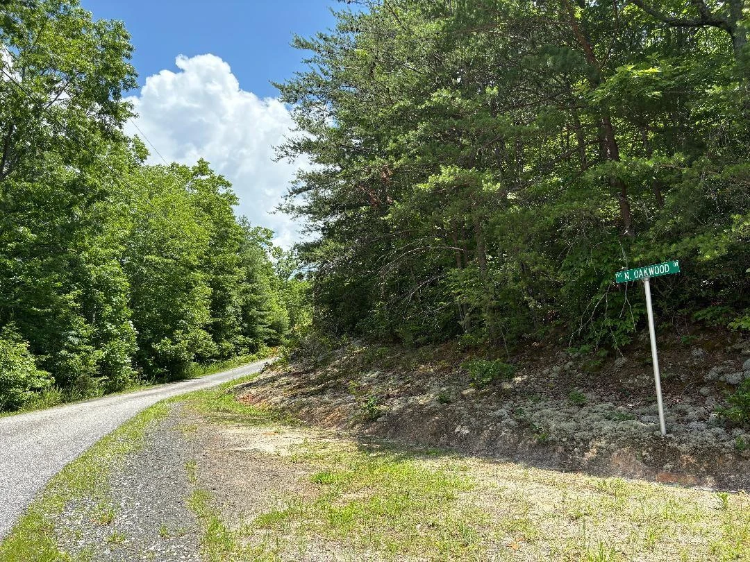 Lot 34 N Oakwood Drive - Photo 5