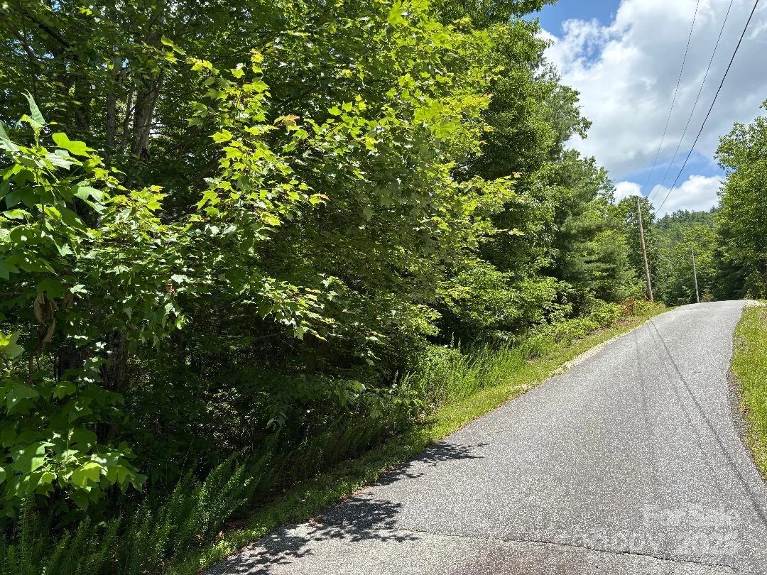 Lot 34 N Oakwood Drive - Photo 6