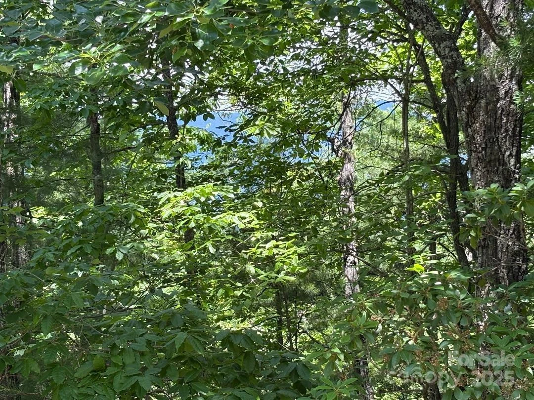 Lot 34 N Oakwood Drive - Photo 7