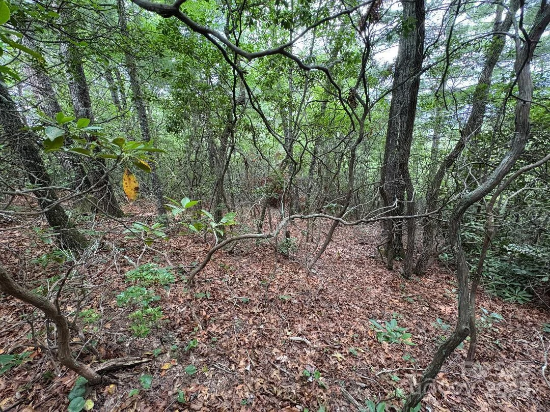 Lot 34 N Oakwood Drive - Photo 8