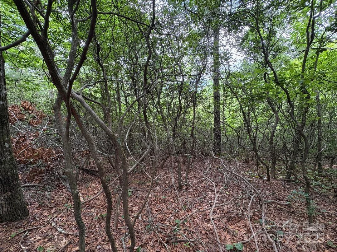 Lot 34 N Oakwood Drive - Photo 9