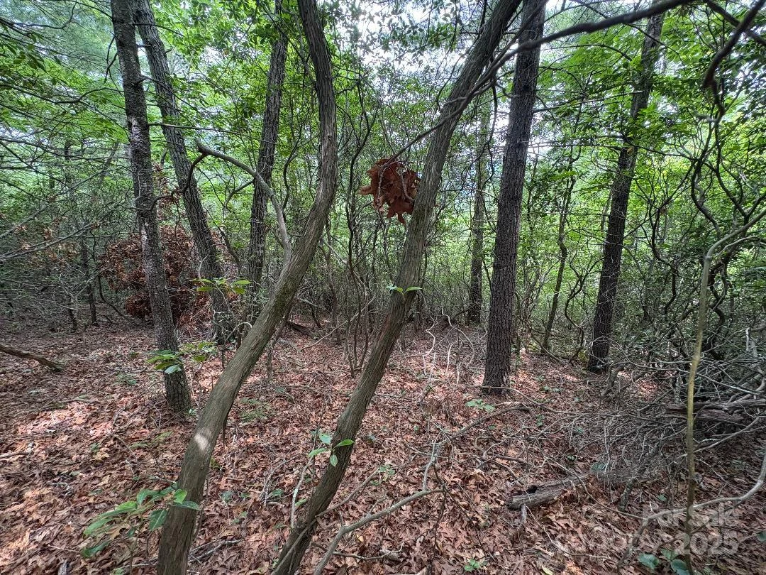 Lot 34 N Oakwood Drive - Photo 10
