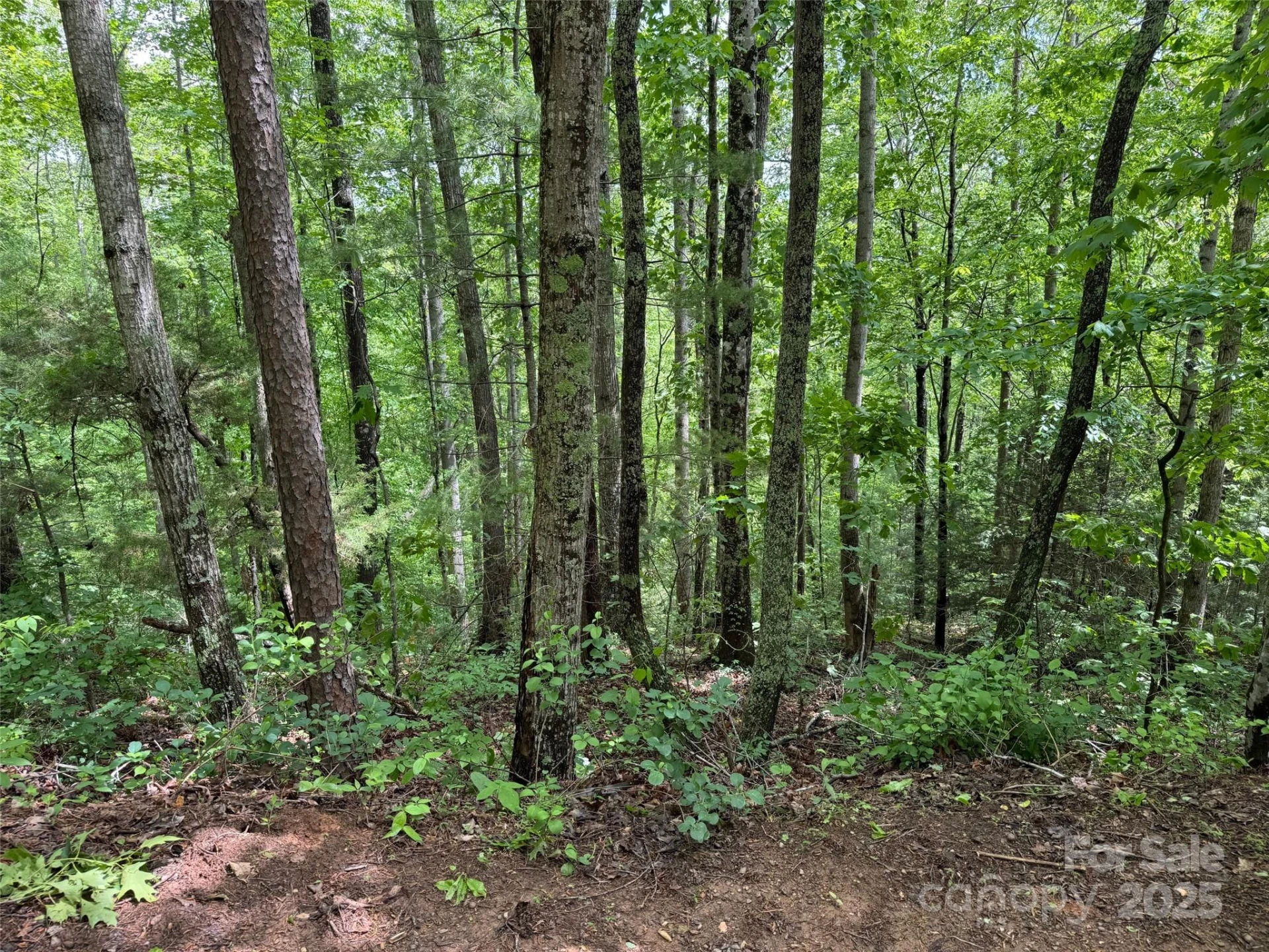 99999 Morning Star Drive #Lot 13 - Photo 2