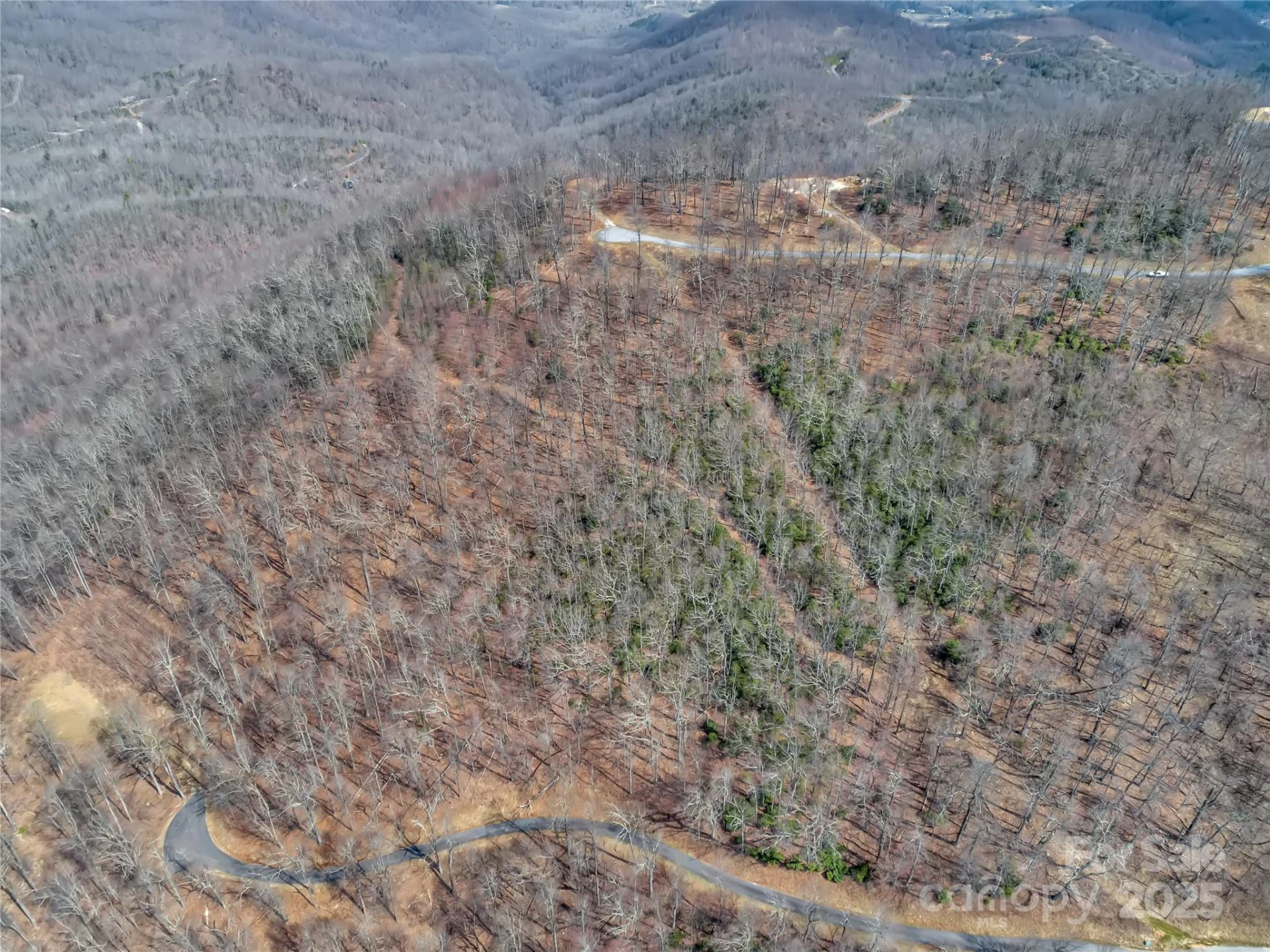 154 High Cliffs Trail #Lot 12A - Photo 3