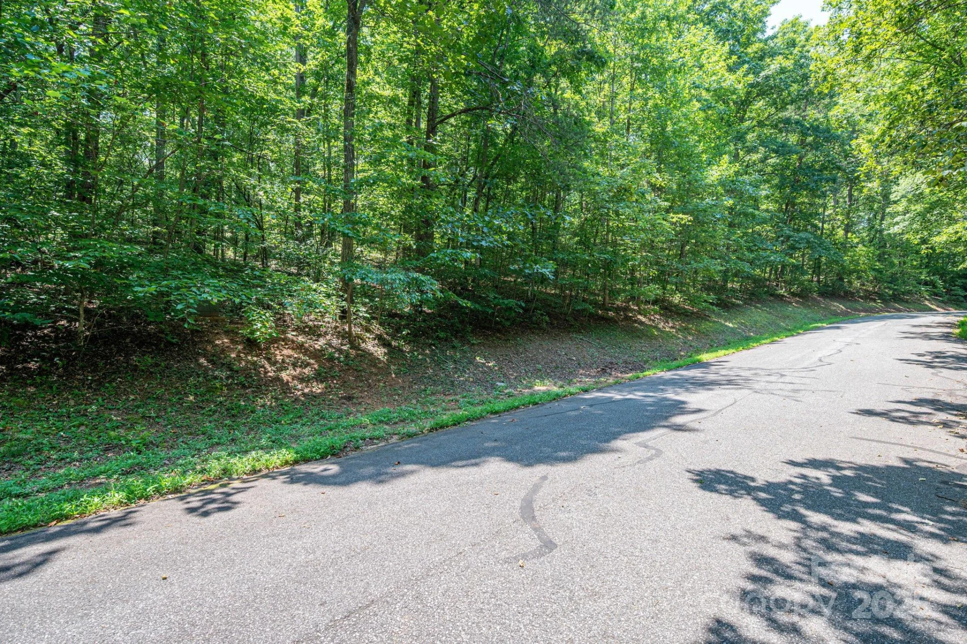 Lot #49 Moss Drive - Photo 11