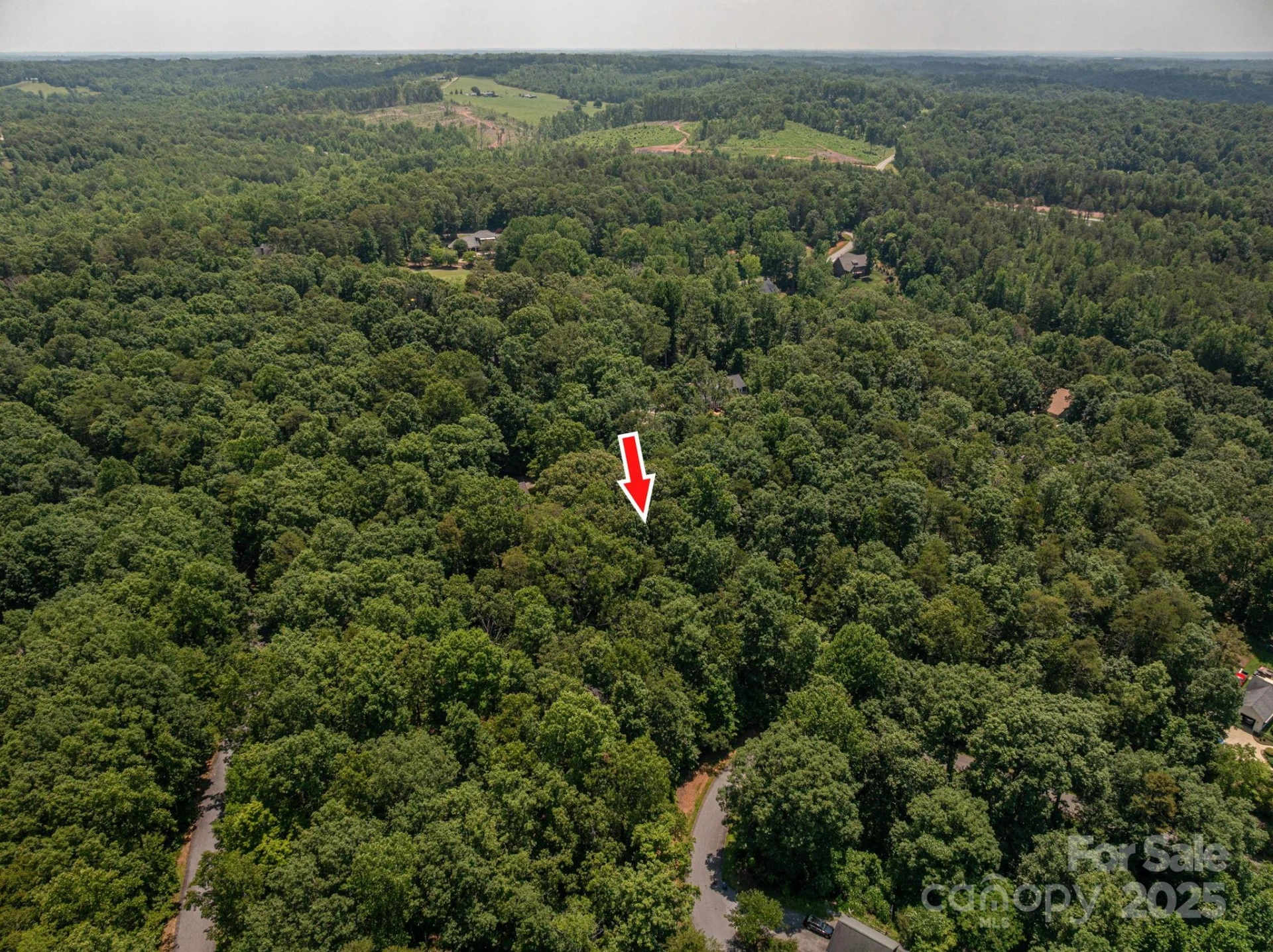 Lot #49 Moss Drive - Photo 4