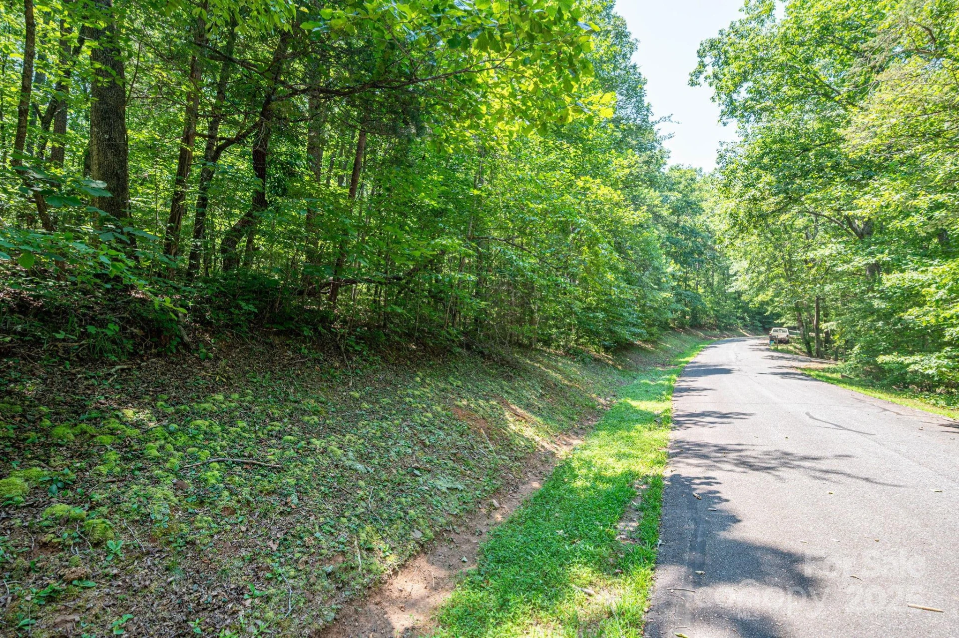 Lot #49 Moss Drive - Photo 8