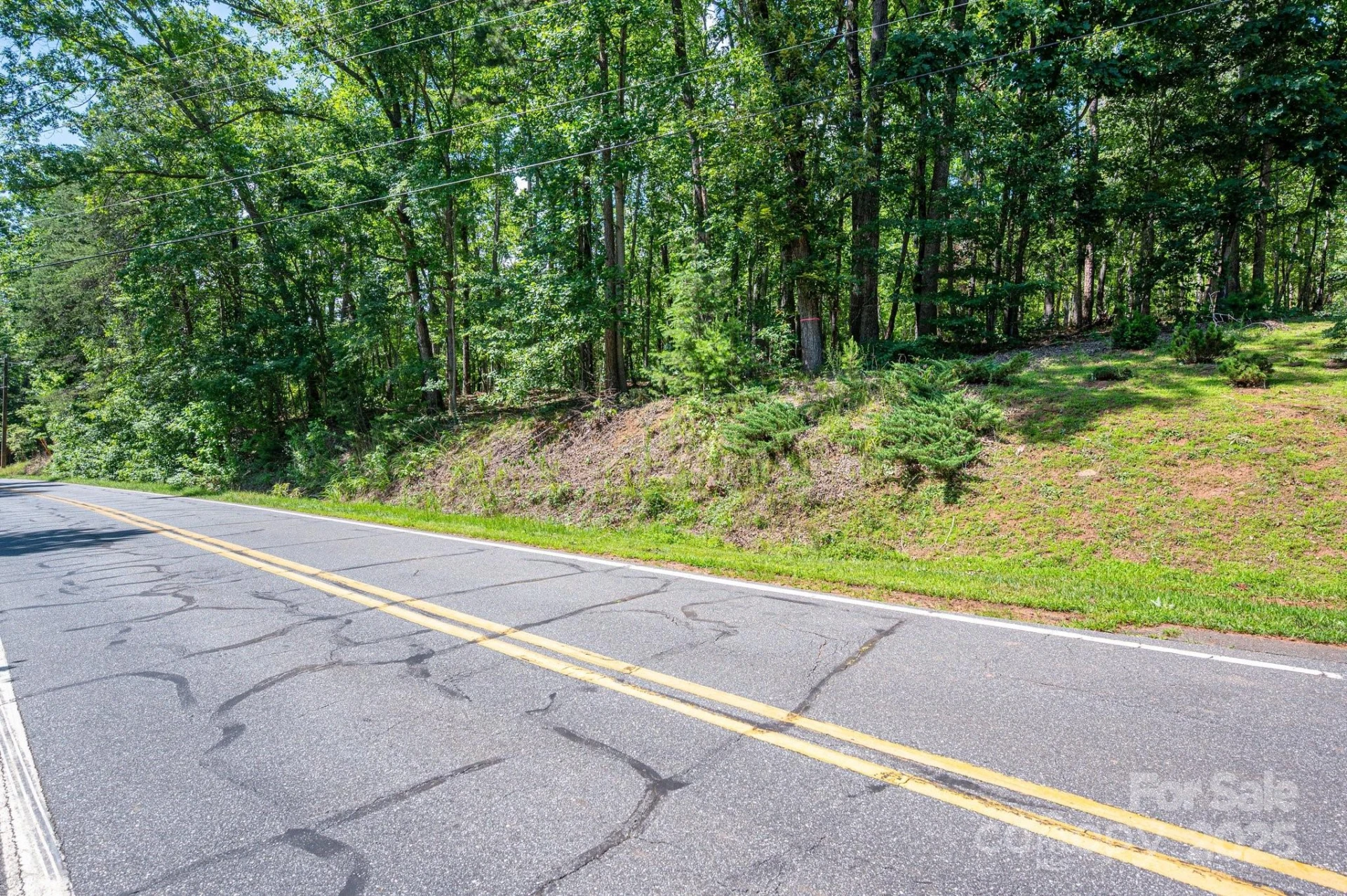 Lot #6 Cleghorn Mill Road - Photo 23