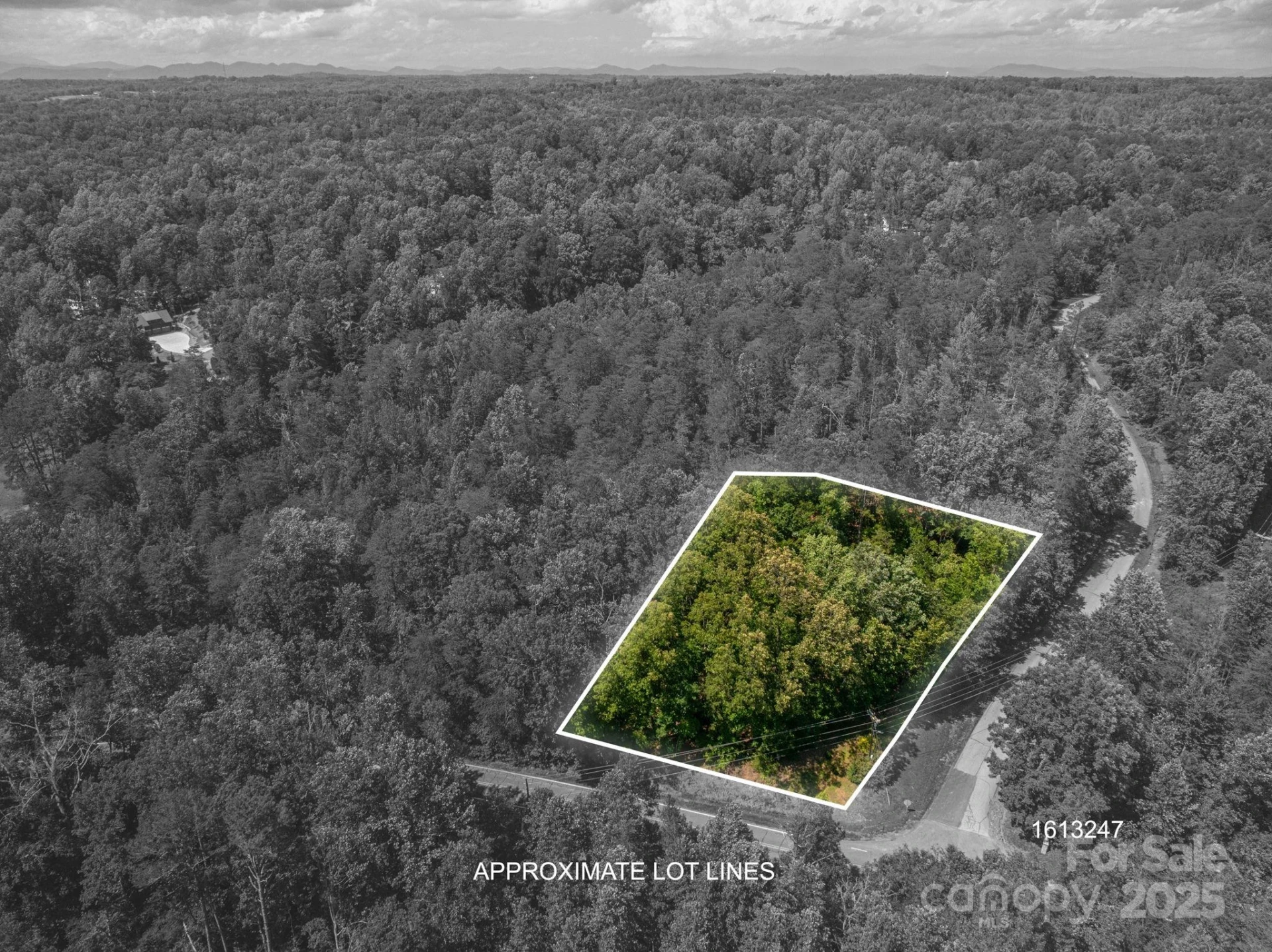Lot #6 Cleghorn Mill Road - Photo 4