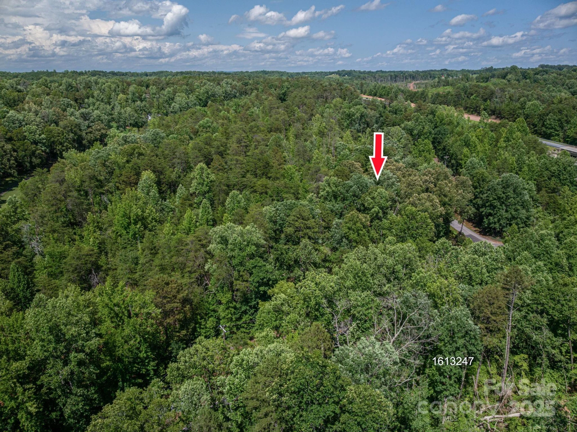 Lot #6 Cleghorn Mill Road - Photo 5
