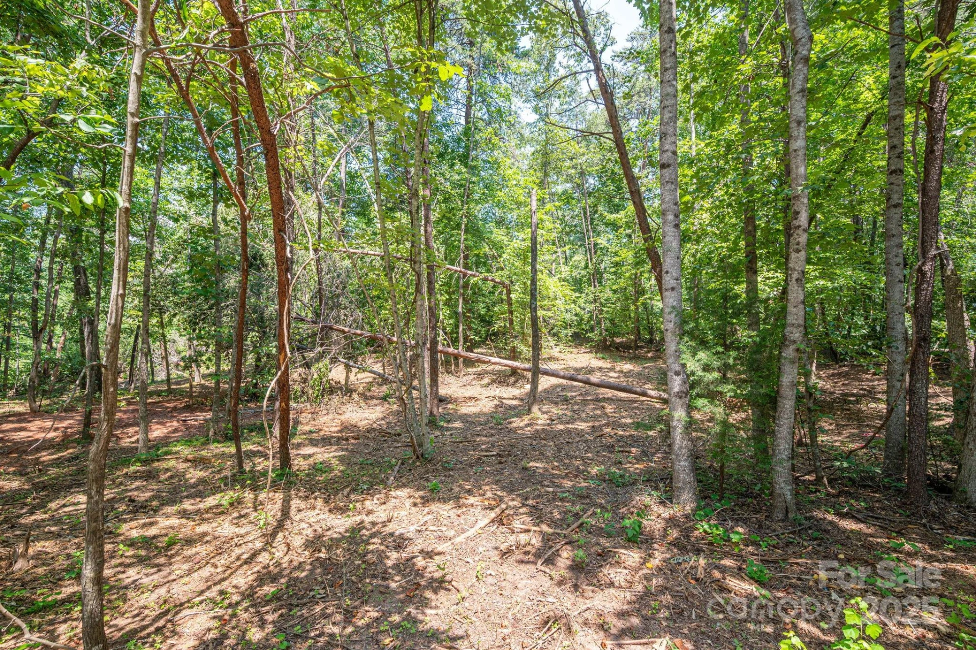 Lot 5 Annapolis Court - Photo 7