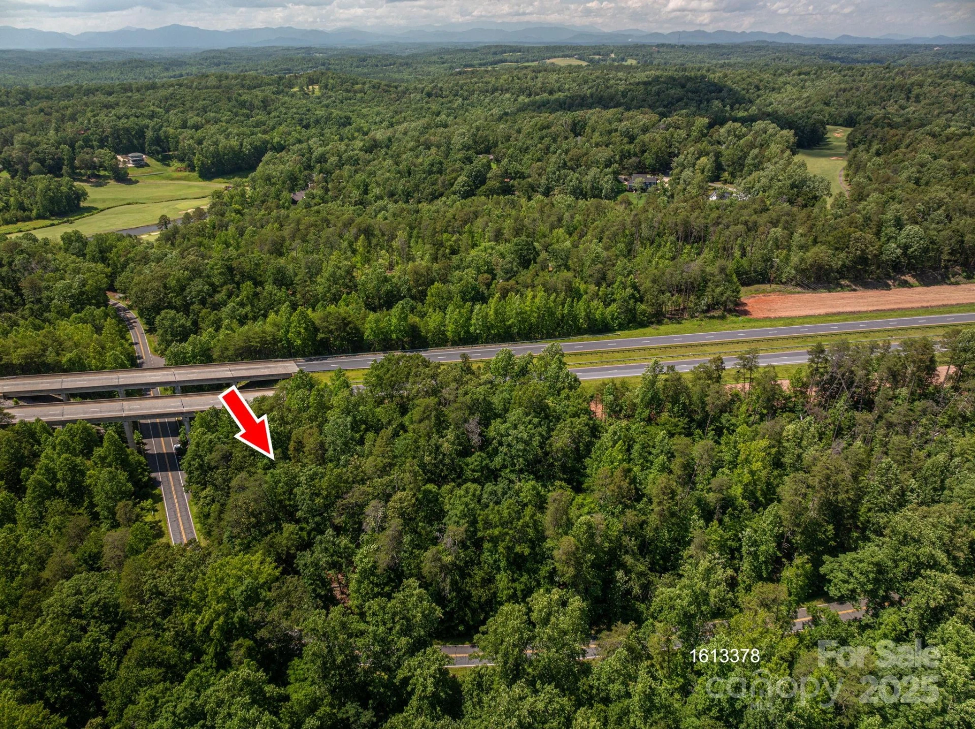 Lot #69 Cleghorn Mill Road - Photo 13