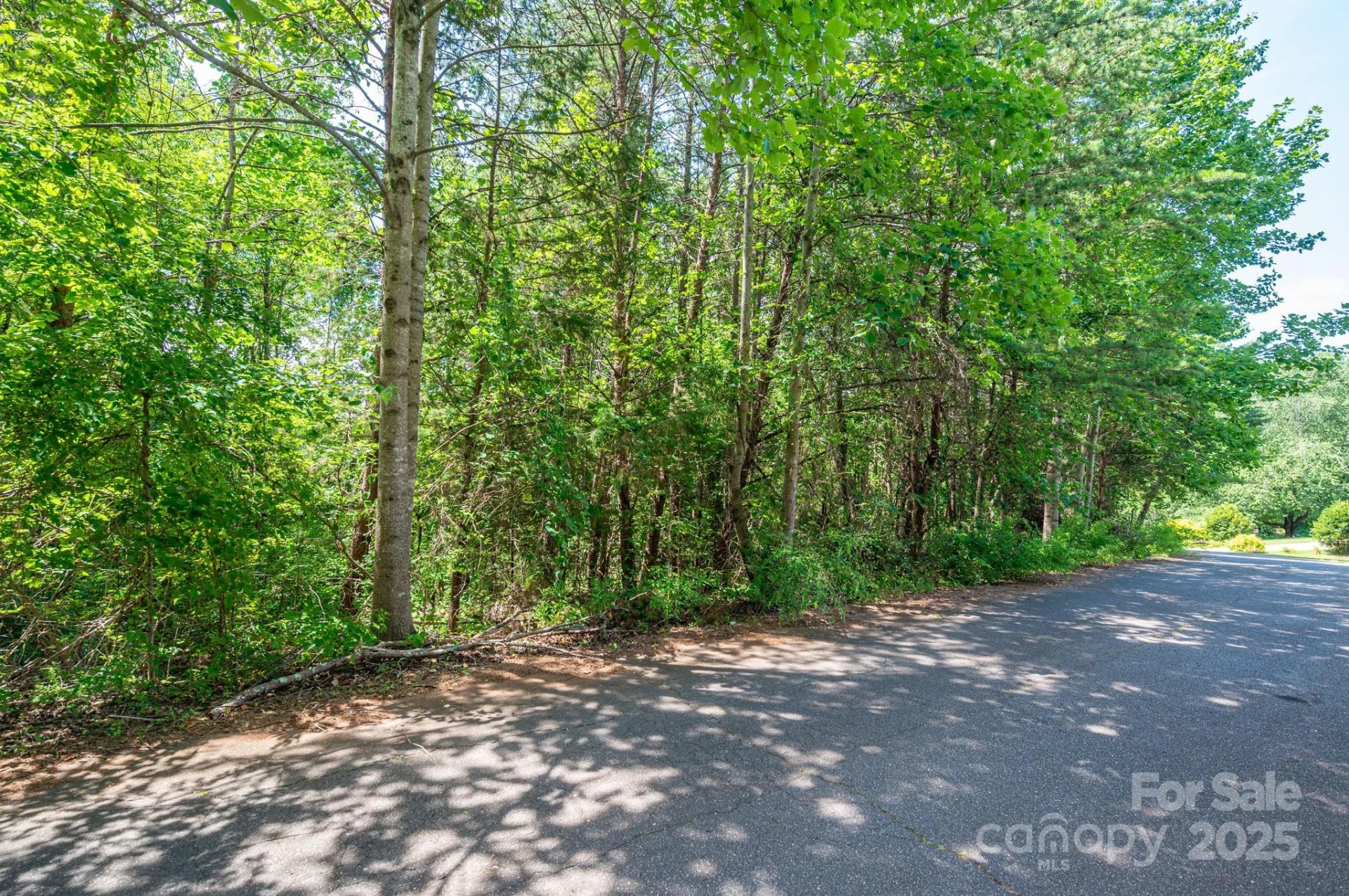 Lot #24 Deacons Ridge Drive - Photo 2