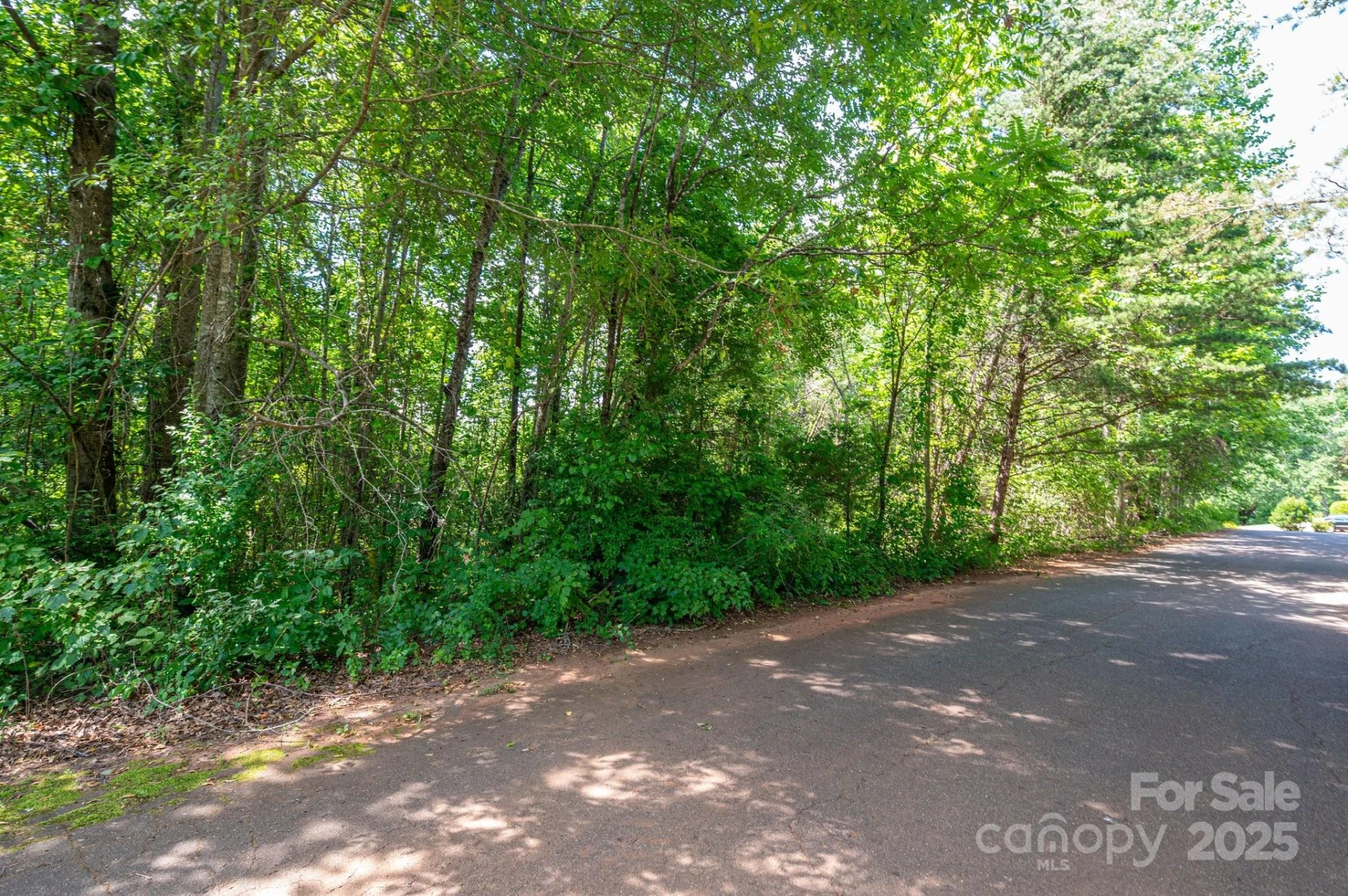 Lot #24 Deacons Ridge Drive - Photo 12