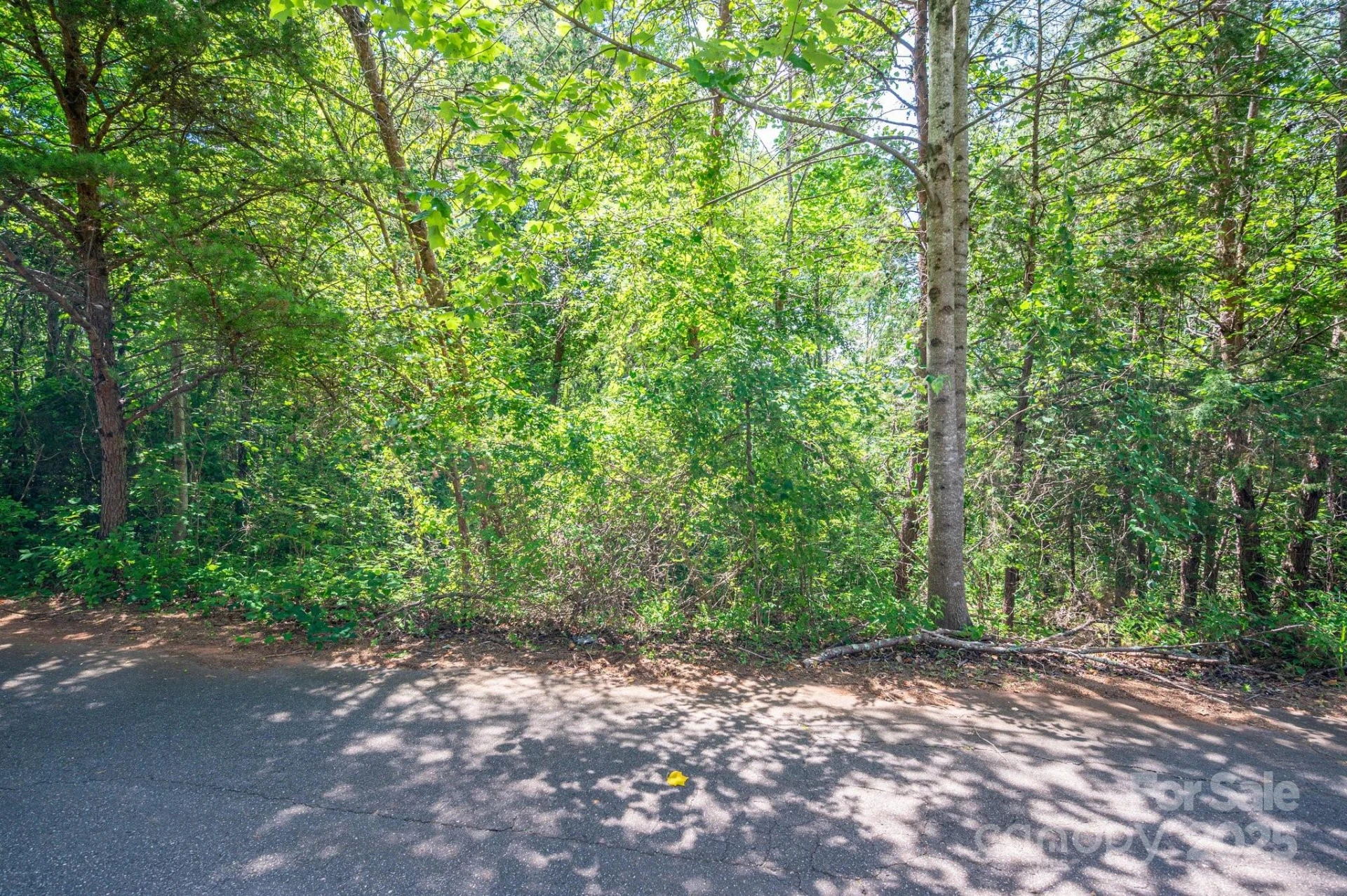 Lot #24 Deacons Ridge Drive - Photo 3