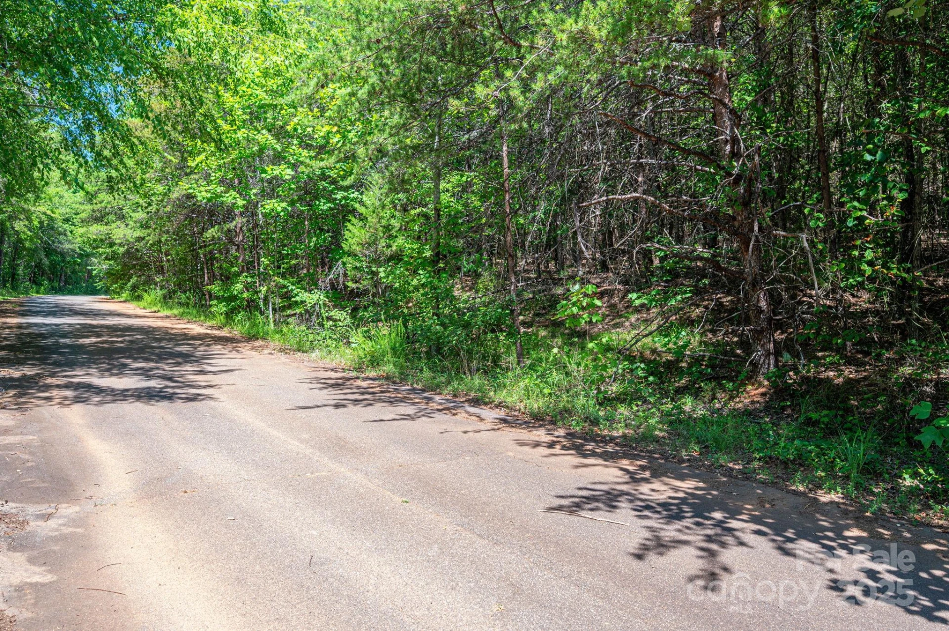 Lot 10 Meadow Crossing Drive - Photo 5