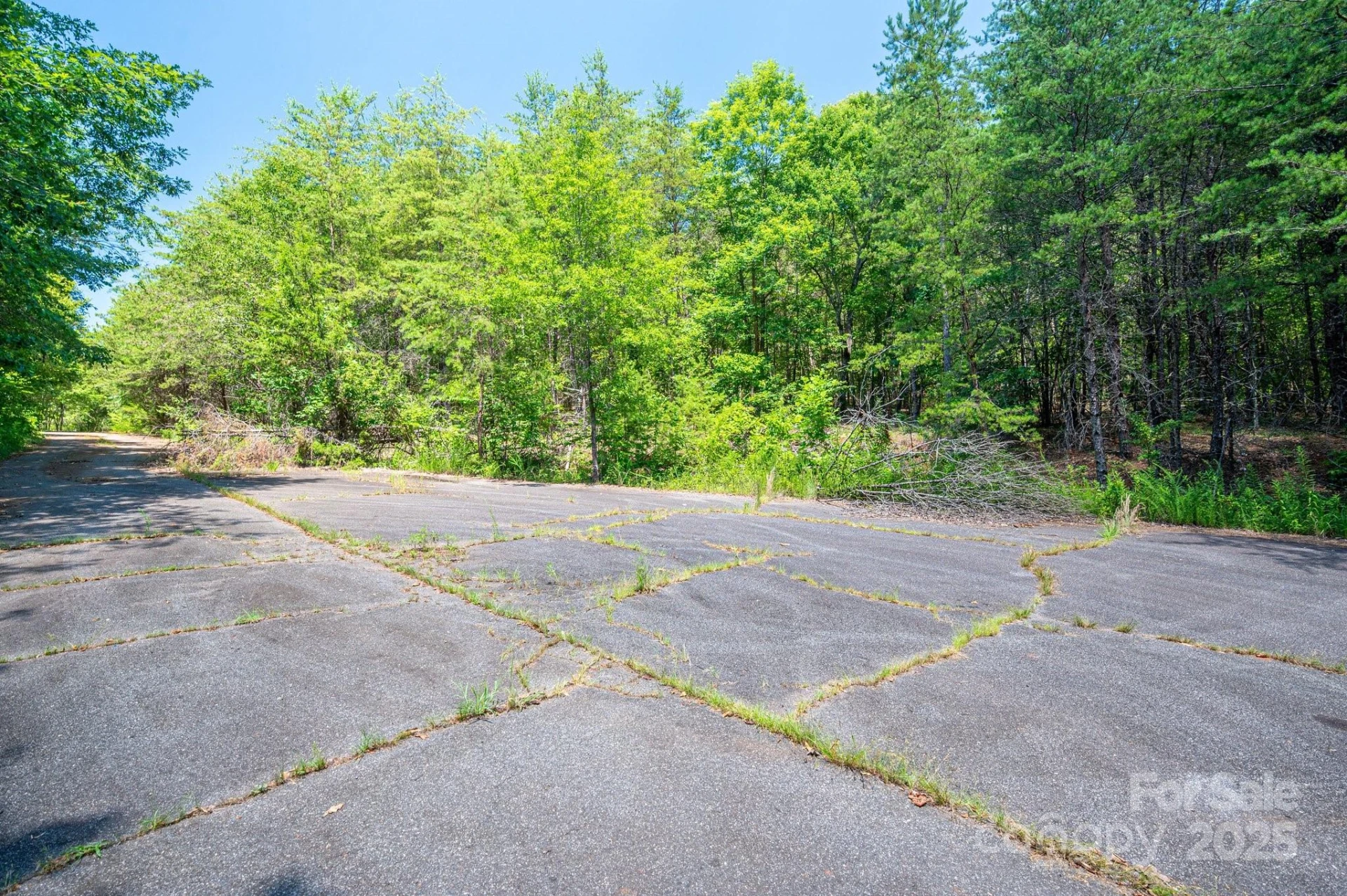 0 Meadow Crossing Drive - Photo 19