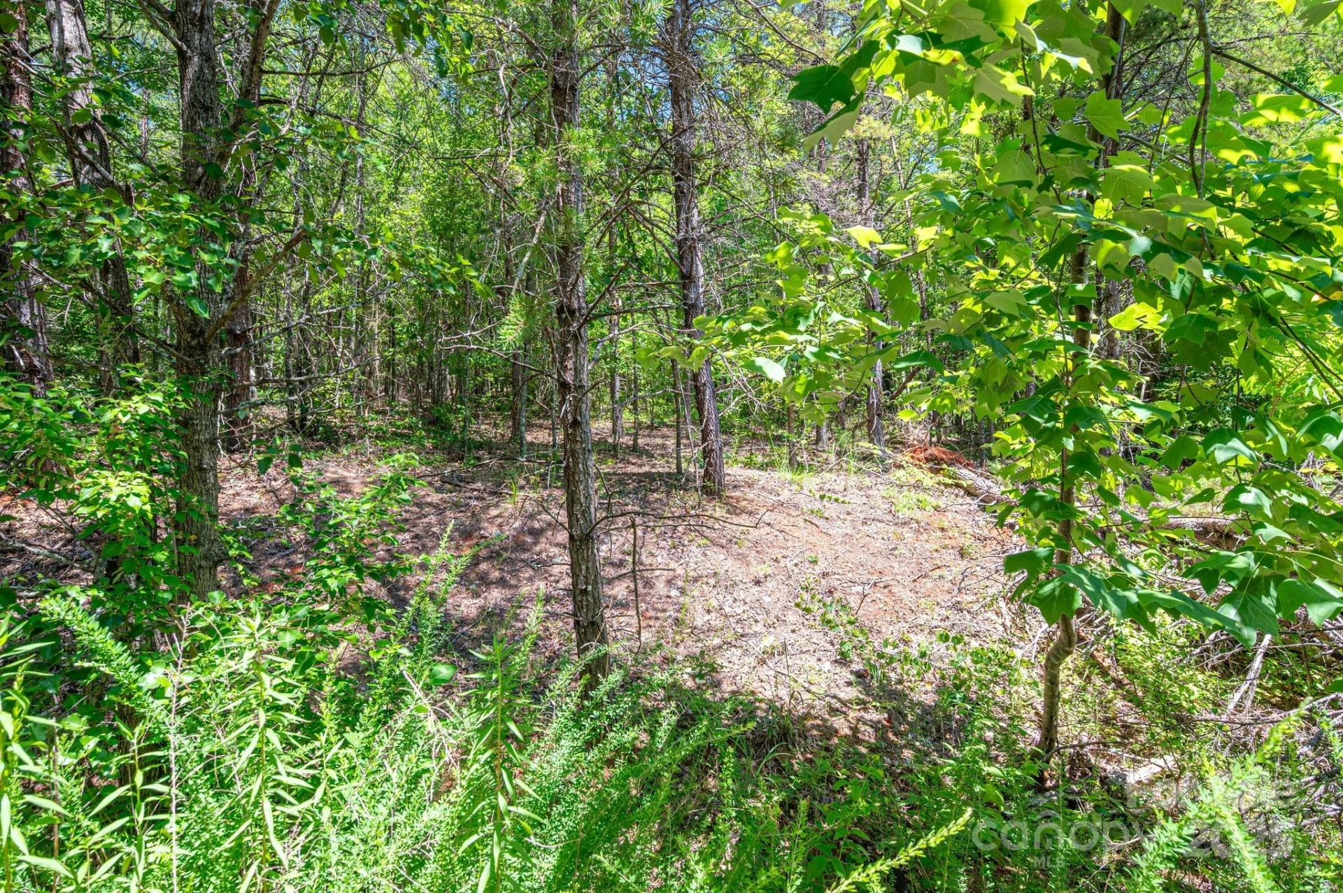 0 Meadow Crossing Drive - Photo 20