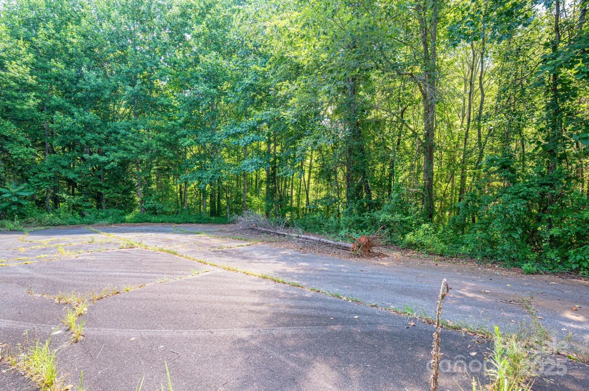 0 Meadow Crossing Drive - Photo 4