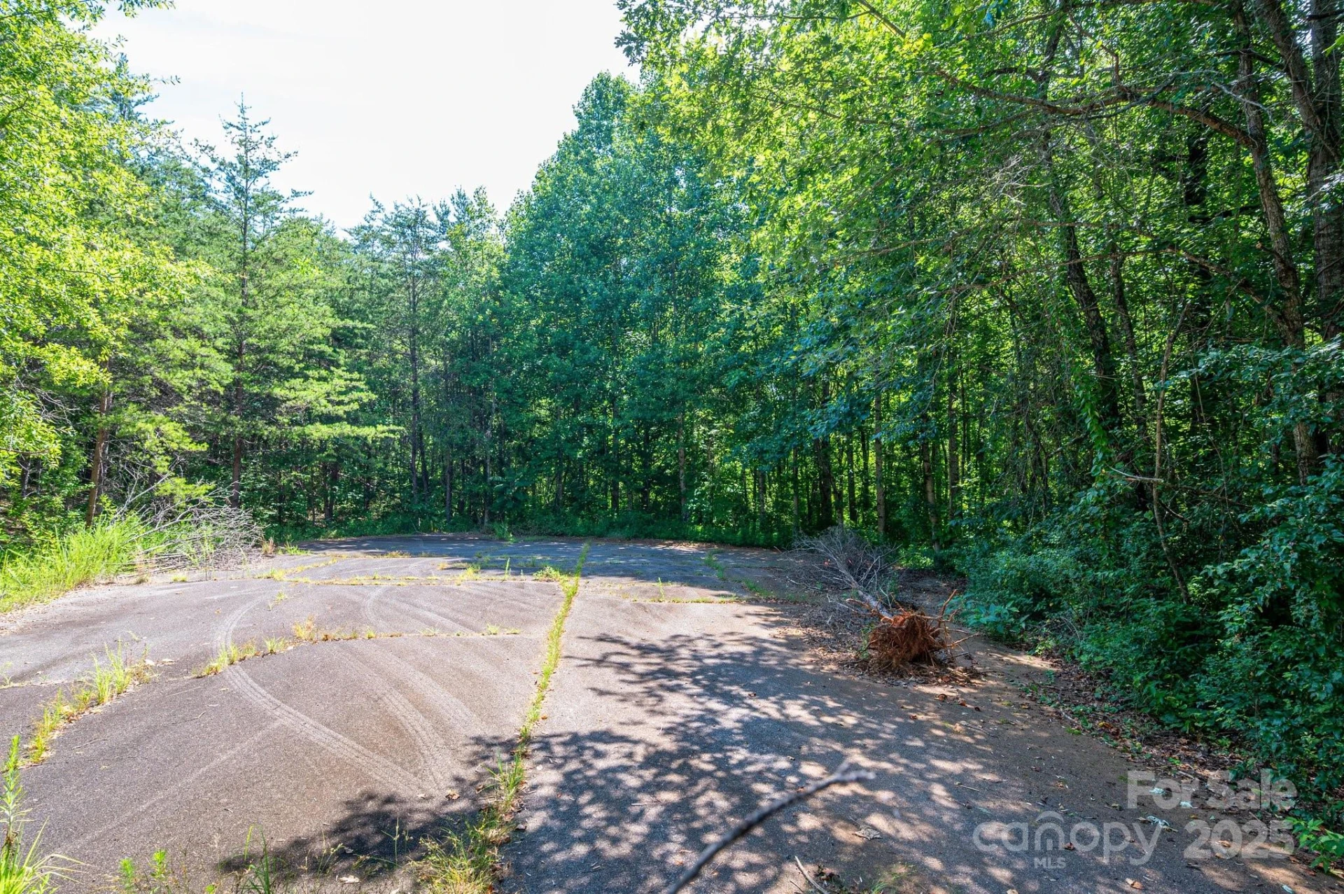 Lot #17 Meadow Crossing Drive - Photo 12