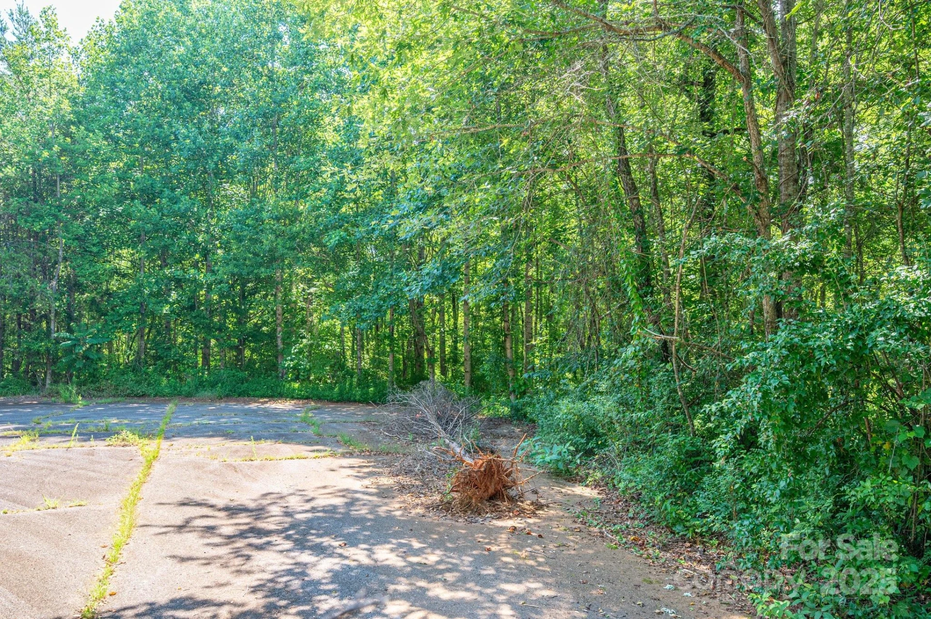 Lot #17 Meadow Crossing Drive - Photo 13