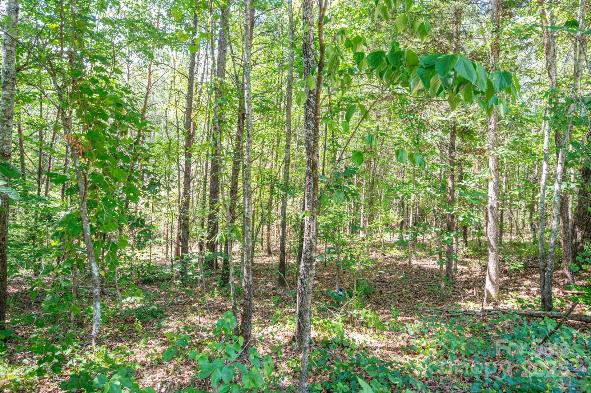 Lot # 16 Meadow Crossing Drive