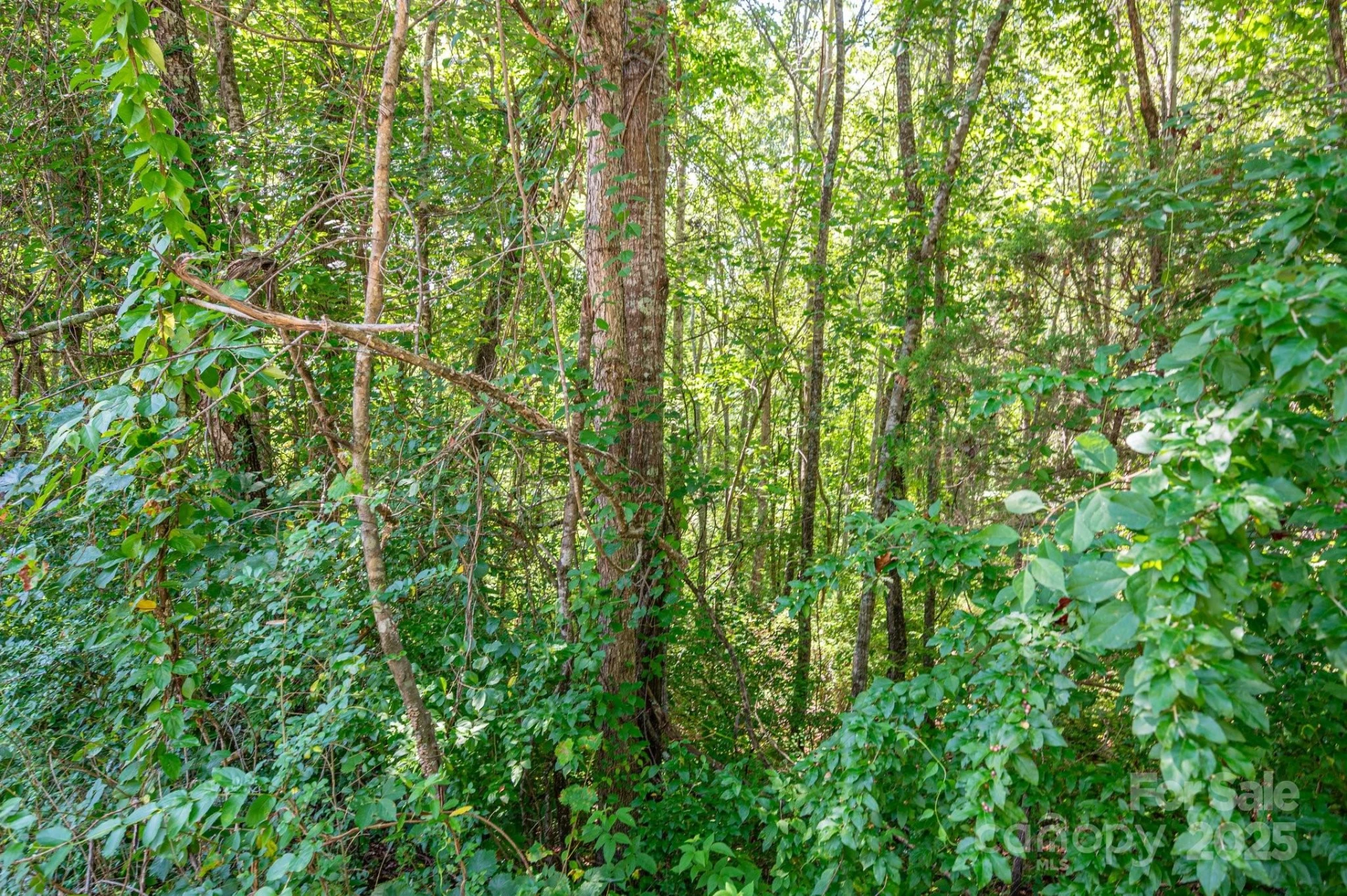 Lot # 16 Meadow Crossing Drive - Photo 2