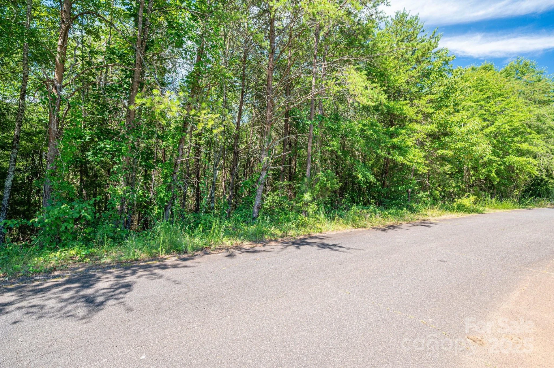 Lot 7 Meadow Crossing Drive - Photo 14