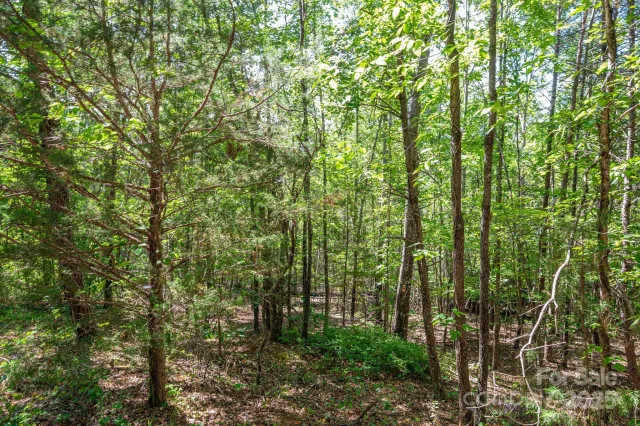 Lot #14 Meadow Crossing Drive