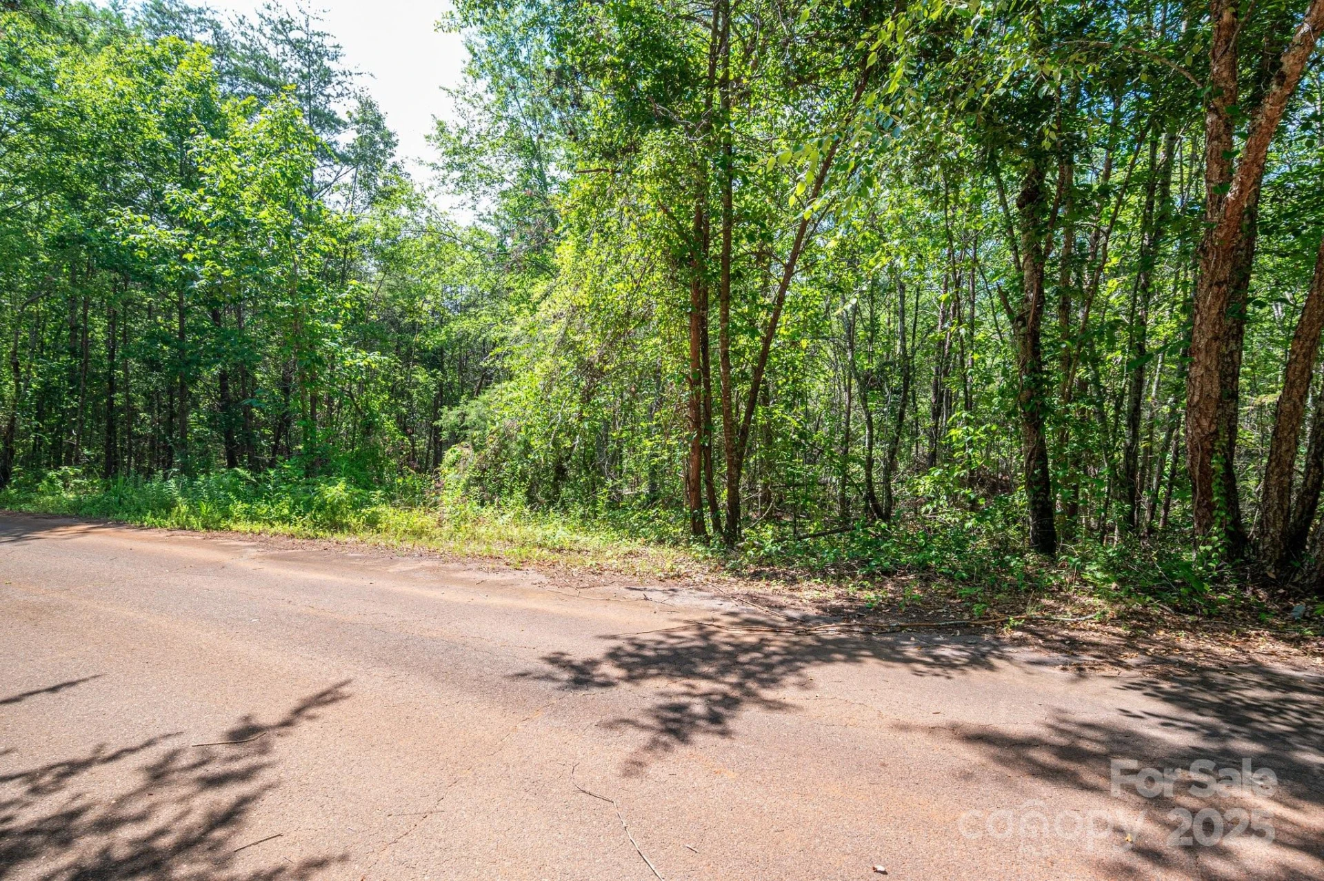 Lot #14 Meadow Crossing Drive - Photo 13