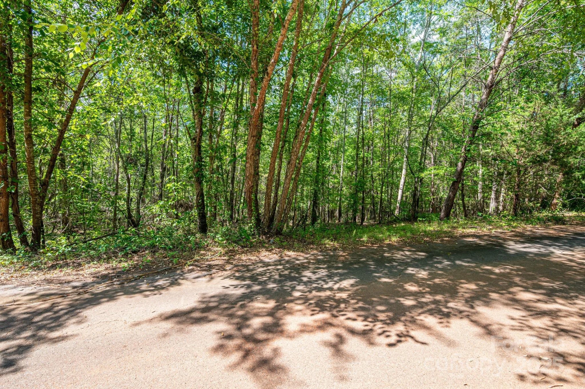 Lot #14 Meadow Crossing Drive - Photo 14