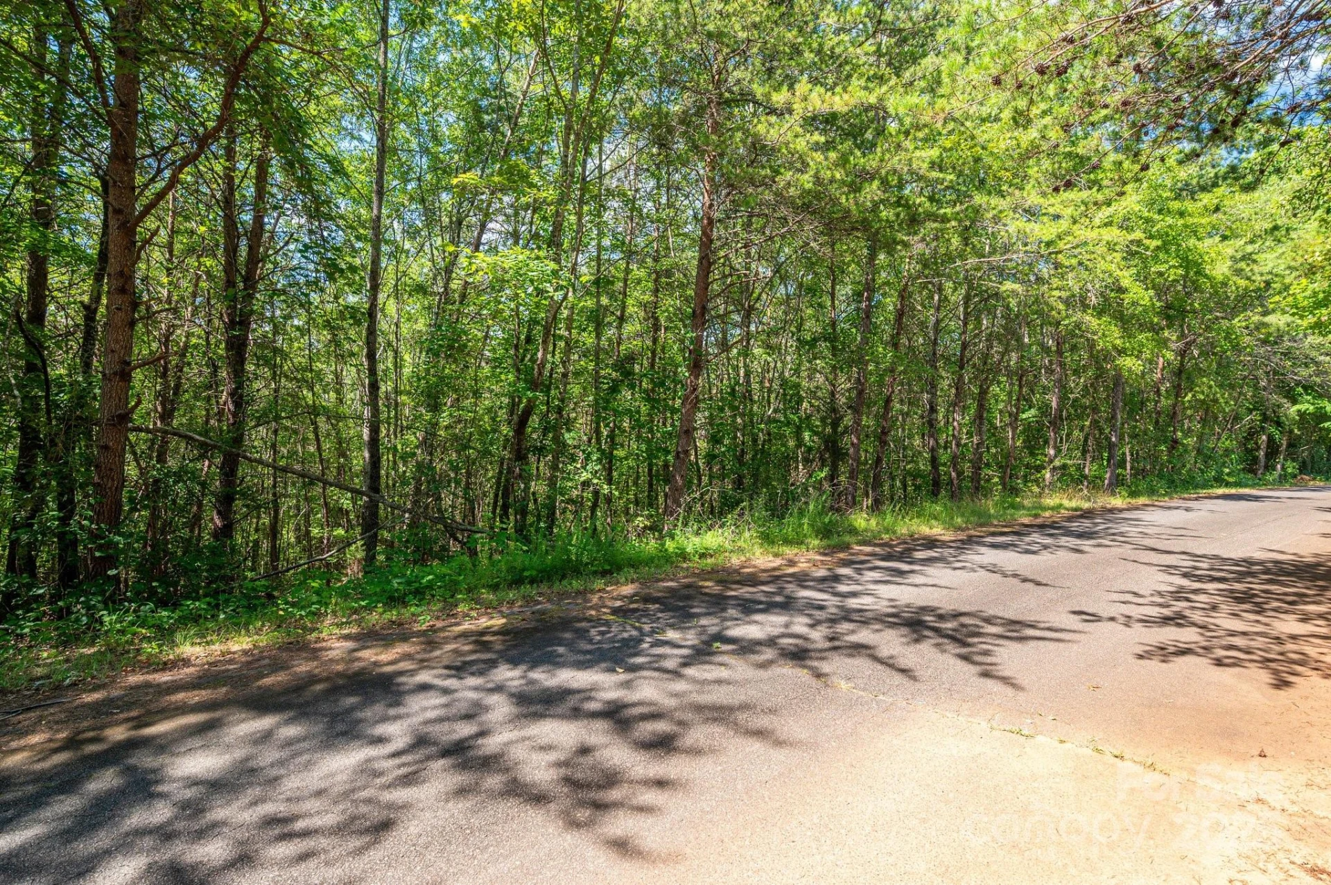 Lot #13 Meadow Crossing Drive - Photo 12