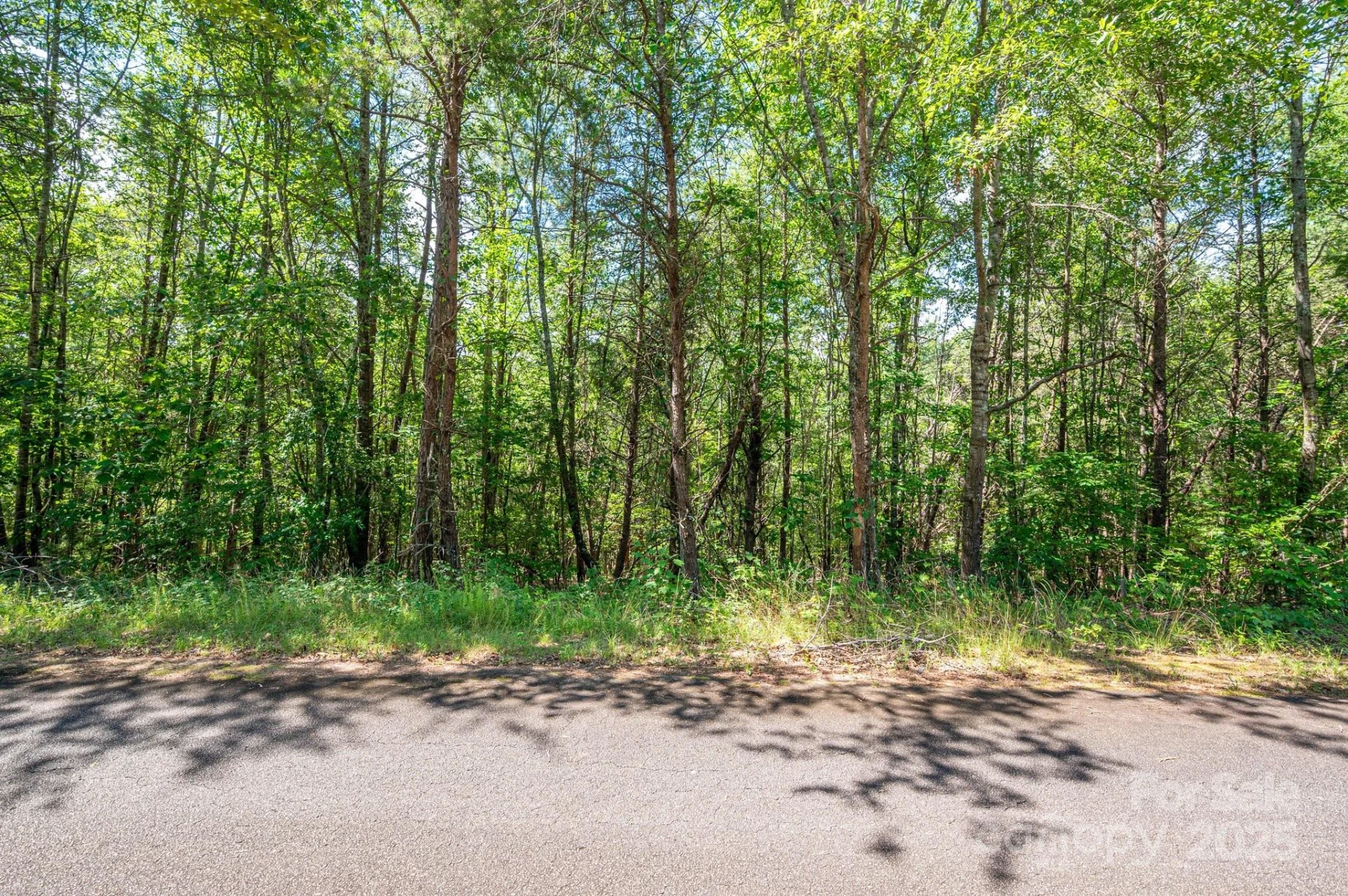 Lot #13 Meadow Crossing Drive - Photo 15