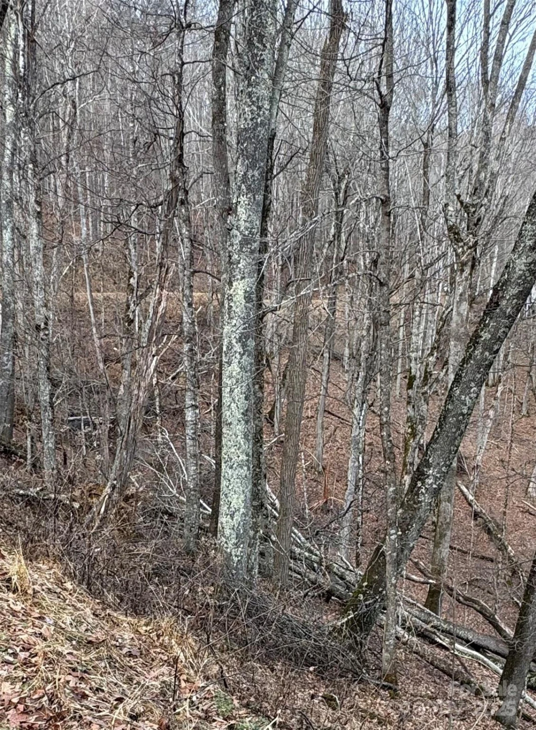 00 Spring Brook Drive #314