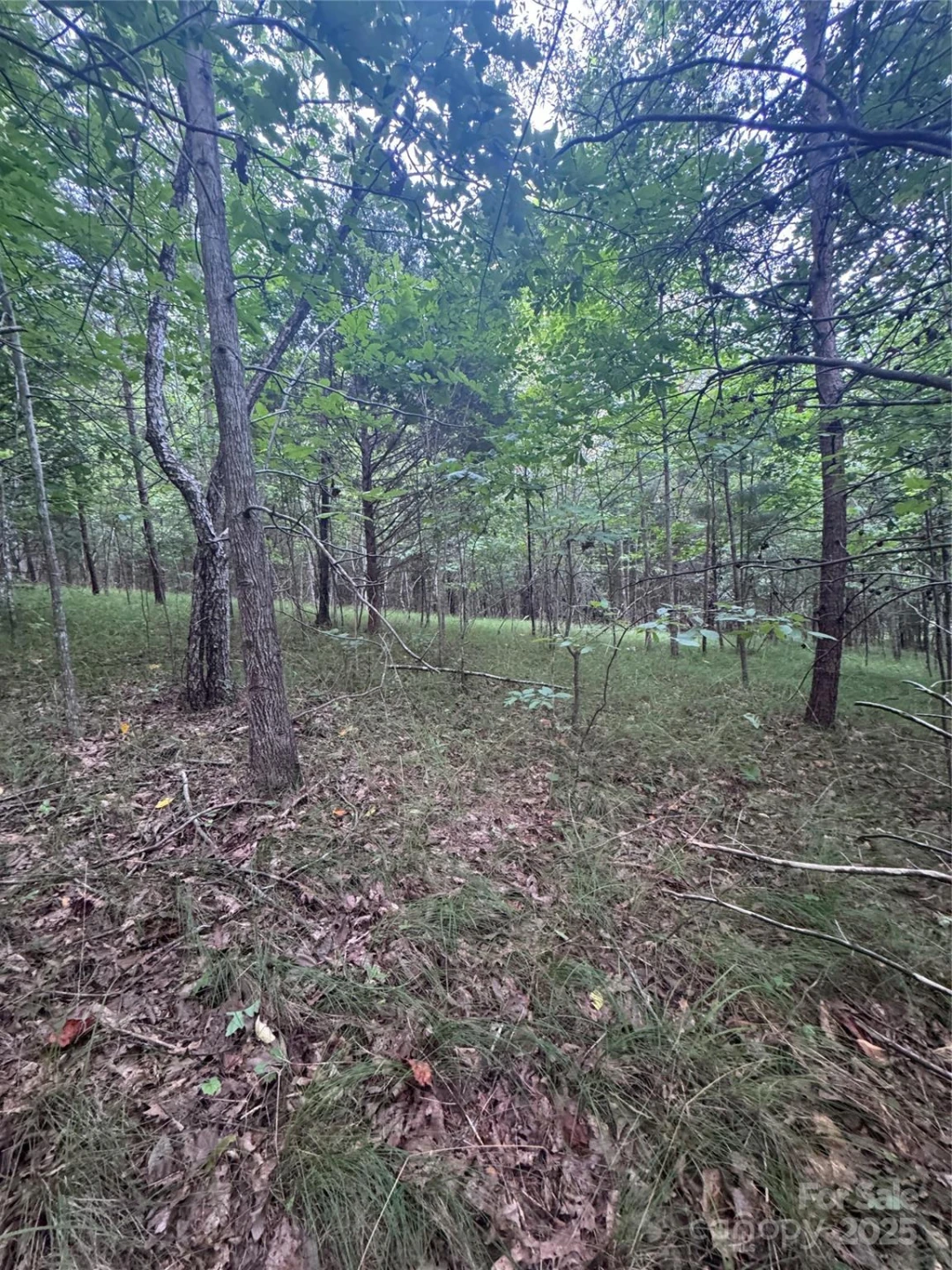 0 Cross Creek Drive #67