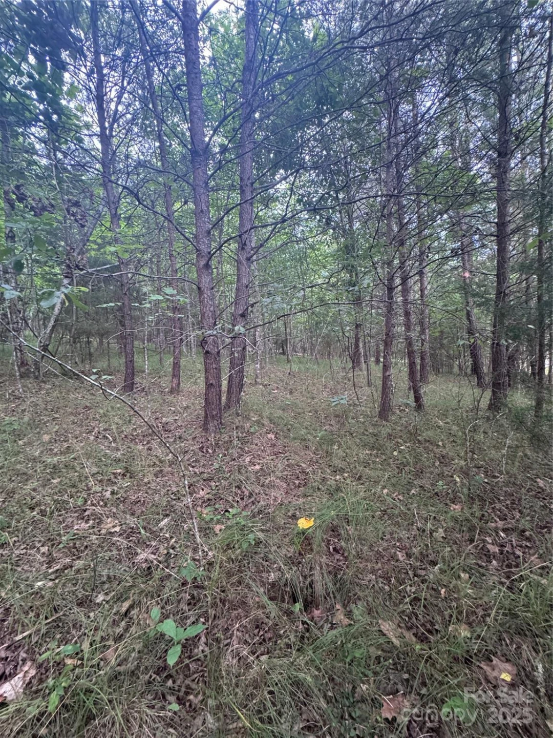 0 Cross Creek Drive #67 - Photo 2
